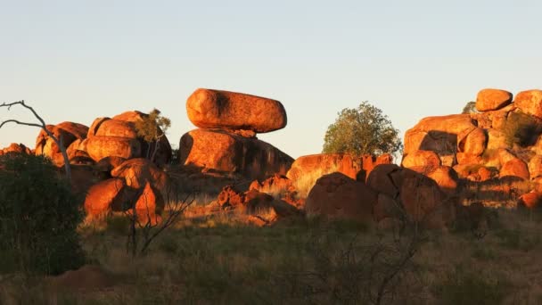 Biglie del diavolo al tramonto — Video Stock