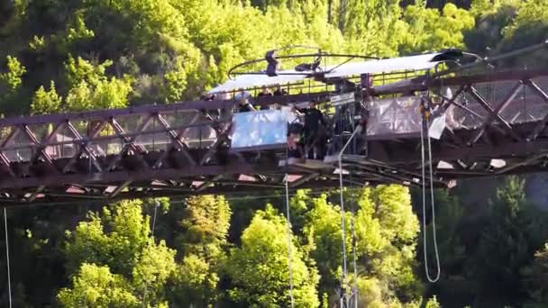 Thrill seeker bungy jumps — Stock Video