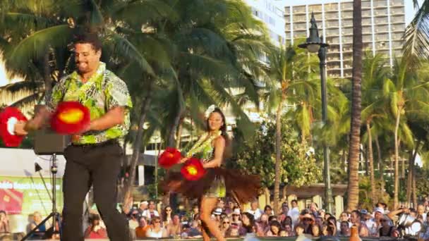 Waikiki beach adlı hula dansçılar gerçekleştirmek — Stok video