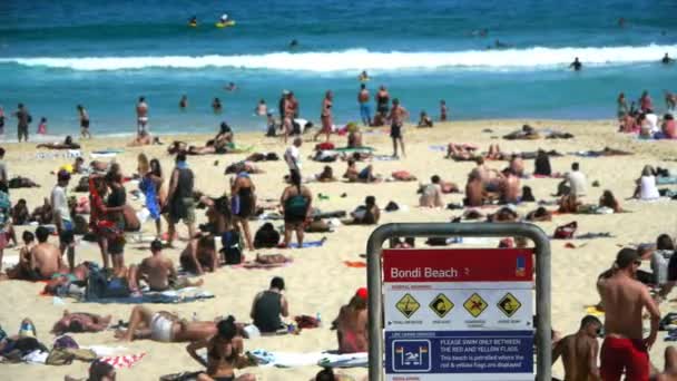 Beachgoers desfrutar de praia bondi — Vídeo de Stock