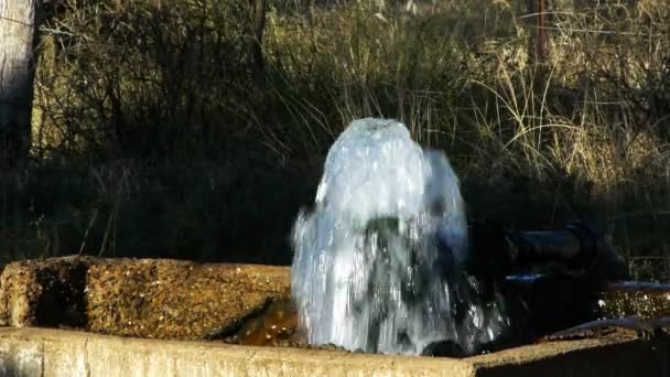 Uncapped artesian bore — Stock Video