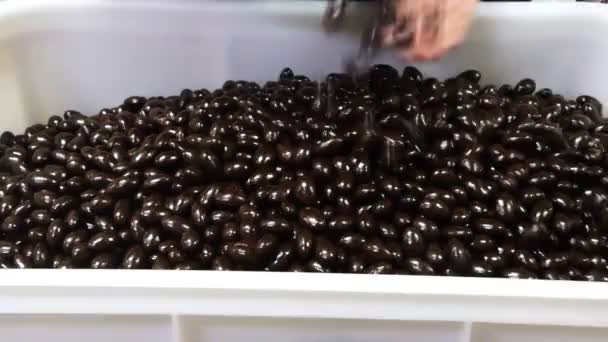 Trabajador extiende almendras cubiertas de chocolate — Vídeos de Stock