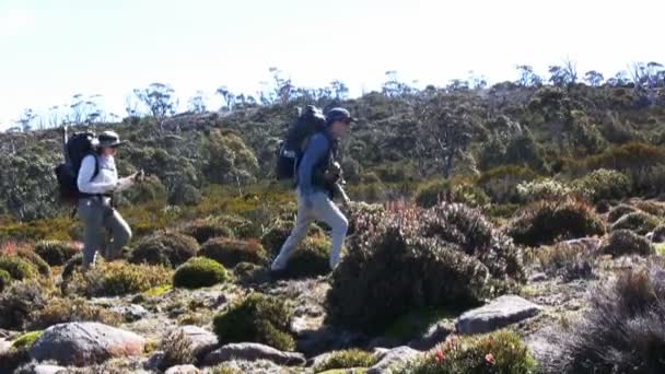 Dos Excursionistas Están Sendero Desierto Tasmania — Vídeo de stock