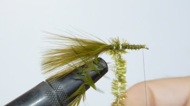 Tying a wet fly — стоковое видео