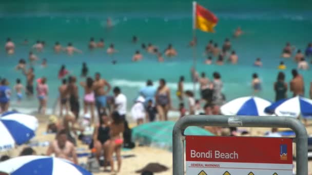 Profundidad superficial tiro playa bondi — Vídeos de Stock