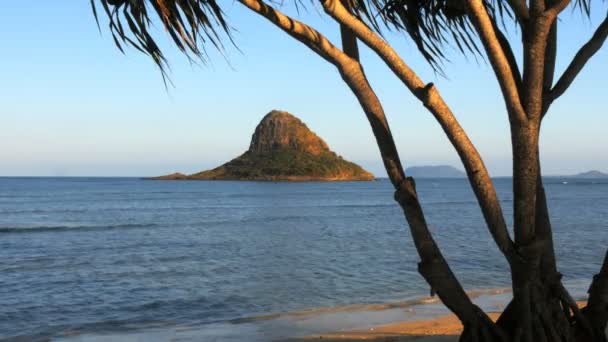 Chapéu chinês em oahu — Vídeo de Stock