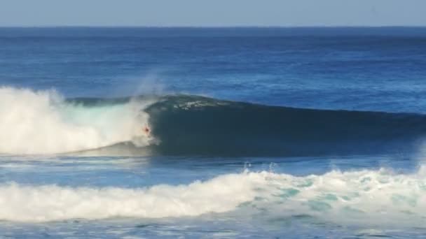 ハレイワ アメリカ合衆国アメリカの 2015 男体サーフィン ハワイで危険なパイプライン — ストック動画
