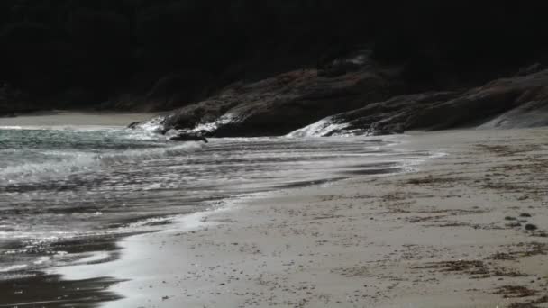 Hullámok törnek a strandon — Stock videók