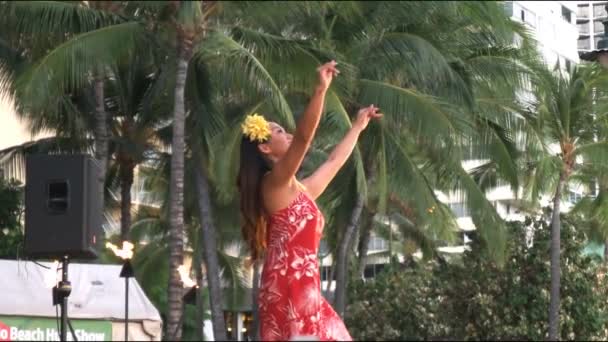 Bailarina hula actuando en la playa waikiki — Vídeos de Stock