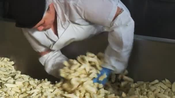 シアトル ワシントン 2015 ブティック チーズ工場で労働者になりますフレッシュ チーズ豆腐 — ストック動画