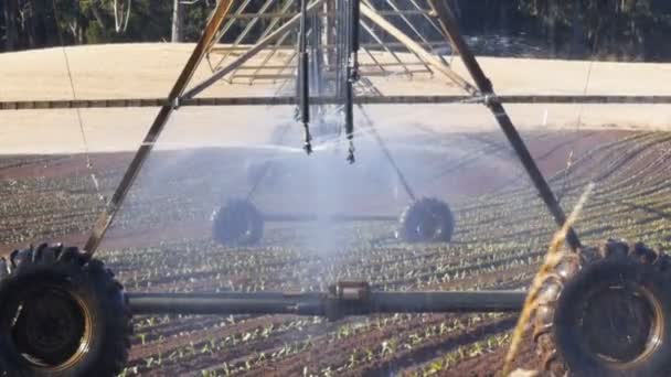 Pivot irrigatie gebruikt om planten water — Stockvideo