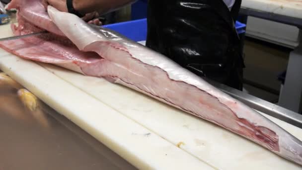 Port Lincoln Austrálie Dubna 2014 Jako Dělník Továrně Zpracování Ryb — Stock video