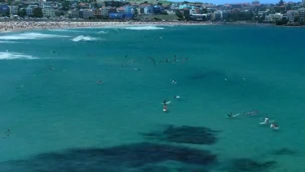 Surfistas Montando Ondas — Vídeo de Stock