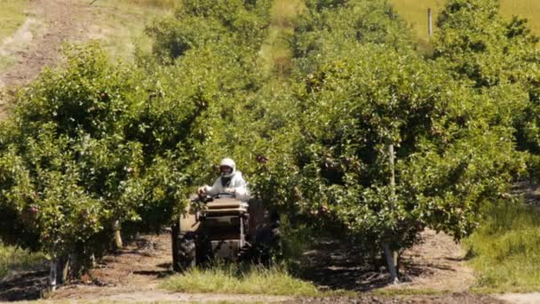 Franculina Tasménia Austrália Sept 2014 Orchardista Conduz Tractor Com Pulverizador — Vídeo de Stock