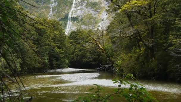 Clinton rzeki z Hirere Falls — Wideo stockowe
