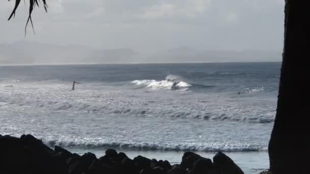 Surfista monta uma onda — Vídeo de Stock