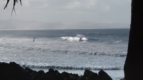 Surfer βόλτες με ένα κύμα — Αρχείο Βίντεο