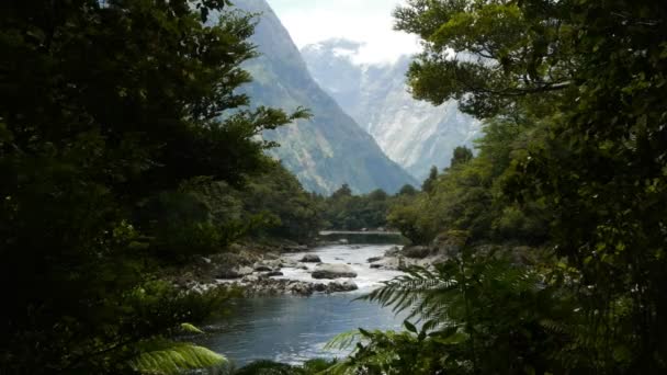 Arthur fluss in neuseeland — Stockvideo