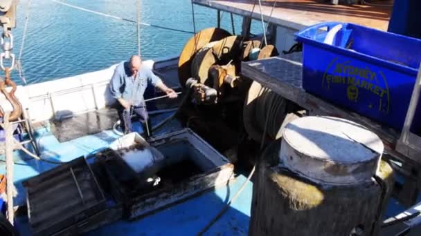 Эден Австралия Сентября 2013 Рыбак Использует Лебедку Разгрузки Ящиков Рыбой — стоковое видео
