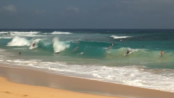 Waikiki États Unis Amérique Août 2015 Plan Ralenti Des Surfeurs — Video