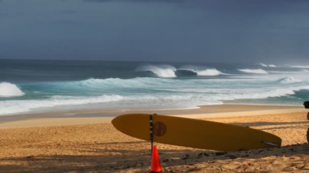 Ehukai 海滩公园 — 图库视频影像