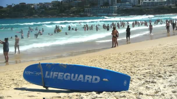 Surf-Rettungsbrett sitzt am Strand — Stockvideo