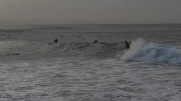 Surfer Rider en våg — Stockvideo