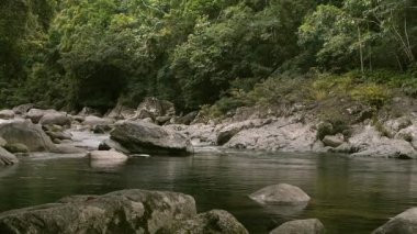  havuz tropikal yağmur ormanları Nehri üzerinde