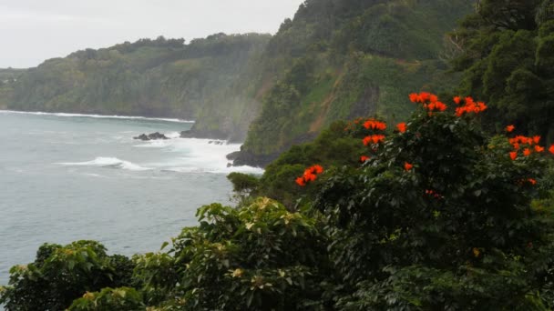 Maui's honomanu Körfezi — Stok video