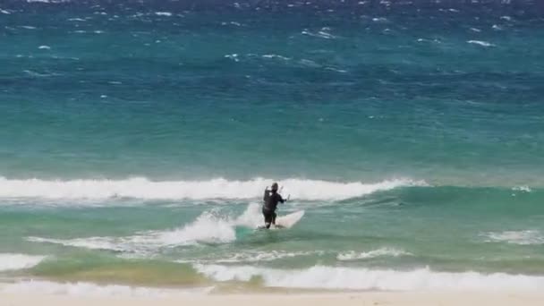 Tathra Australie Oct 2013 Cerf Volant Survole Les Vagues Fait — Video