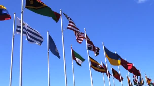 Flags from different countries — Stock Video