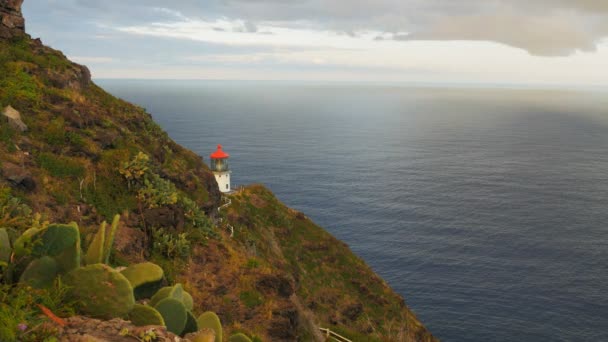 Makapuu lighthouse on oahu — Stock Video