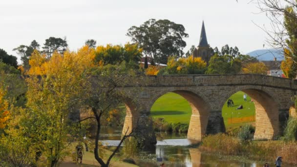 Blick Aus Der Vogelperspektive Auf Die Historische Alte Steinbrücke Reichelsheim — Stockvideo