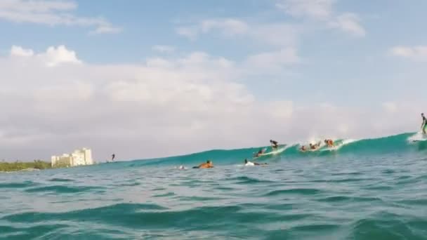 Honolulu Usa Amerika Augusti 2015 Grupp Mal Surfbräda Ryttare Fånga — Stockvideo