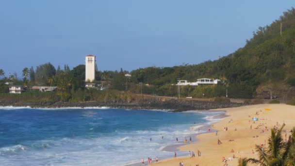 Beach a waimea bay — Stock Video