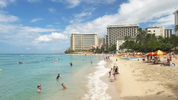 Honolulu Usa Amerika Augusti 2015 Semesterfirare Njuta Varmt Tropiska Vattnen — Stockvideo