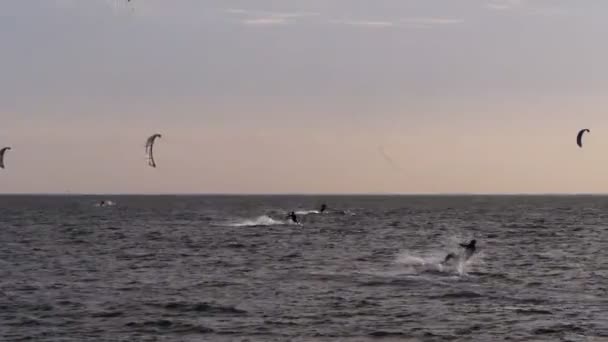 Melbourne Australië September 2013 Een Kite Boarder Brighton Beach Wipes — Stockvideo