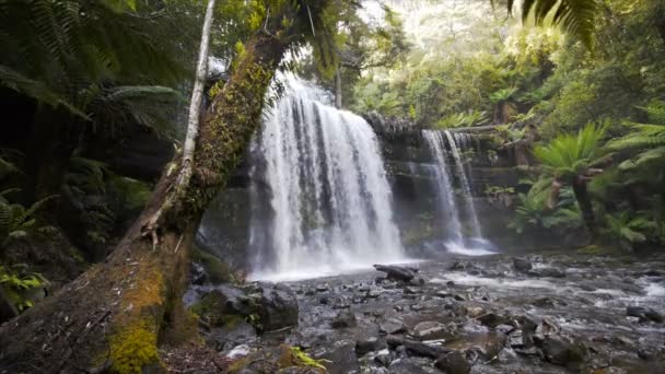 Lower section of russell falls — Stock Video