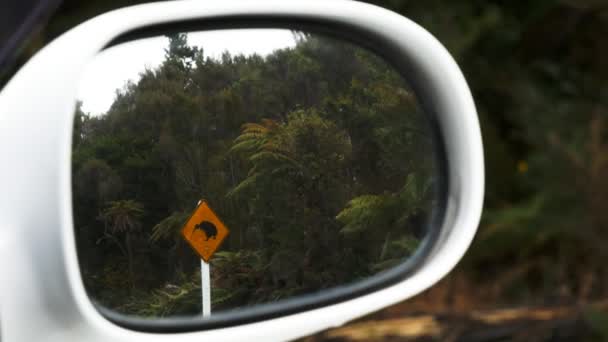 Kiwi verkeersbord weerspiegeld in de spiegel van een auto — Stockvideo
