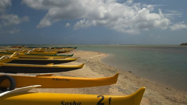 Canoe outrigger sull'isola hawaiana — Video Stock