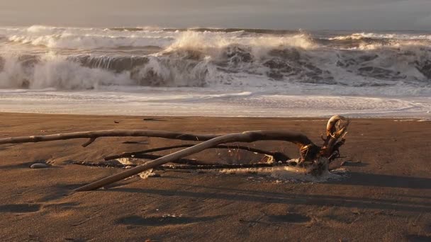 Hullámok feltörése a strandon — Stock videók