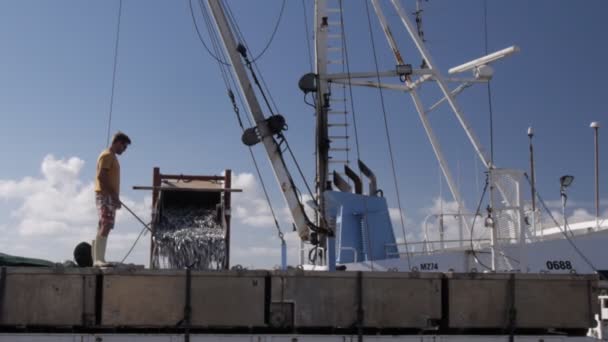 Fishing boat unloads its catch — Stock Video