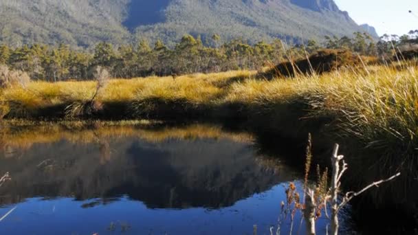 Mount massif, tasmania — Stock videók