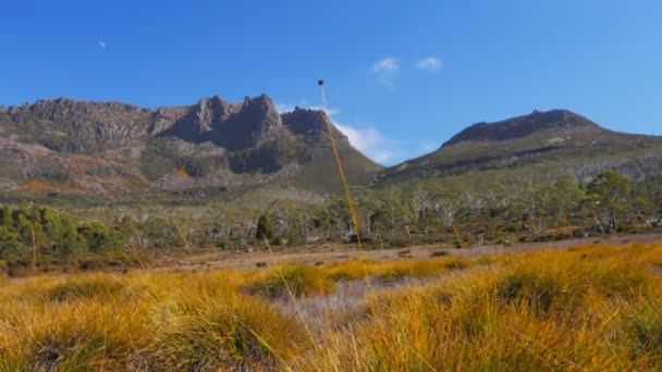 Mt ossa on the overland track — Stock Video