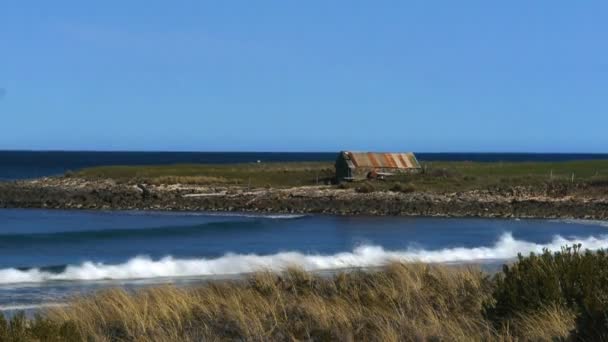 Mayfield beach tas — Stockvideo