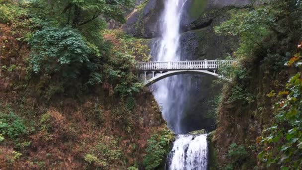 Multnomah водоспад в Портленді — стокове відео