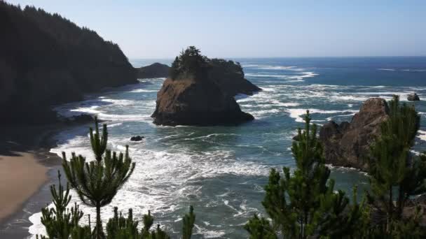 Depoe defne, Oregon sahil şeridi — Stok video
