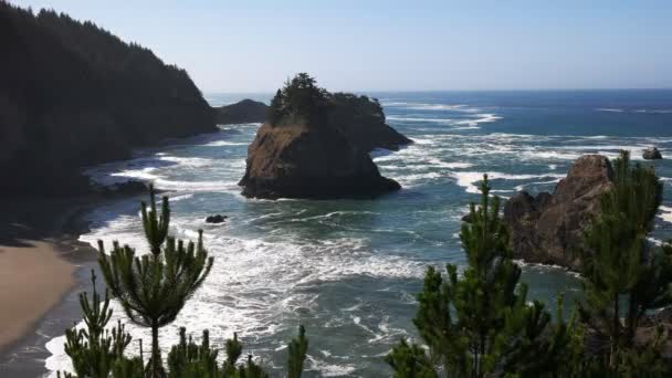 Littoral de l'oregon à la baie depoe — Video