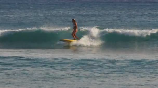 Waikiki Estados Unidos América Agosto 2015 Una Mujer Monta Longboard — Vídeo de stock