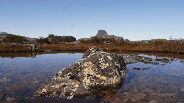 Gran roca cubierta de liquen — Vídeos de Stock